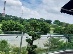Turquoise (D4), Condominium #534284681